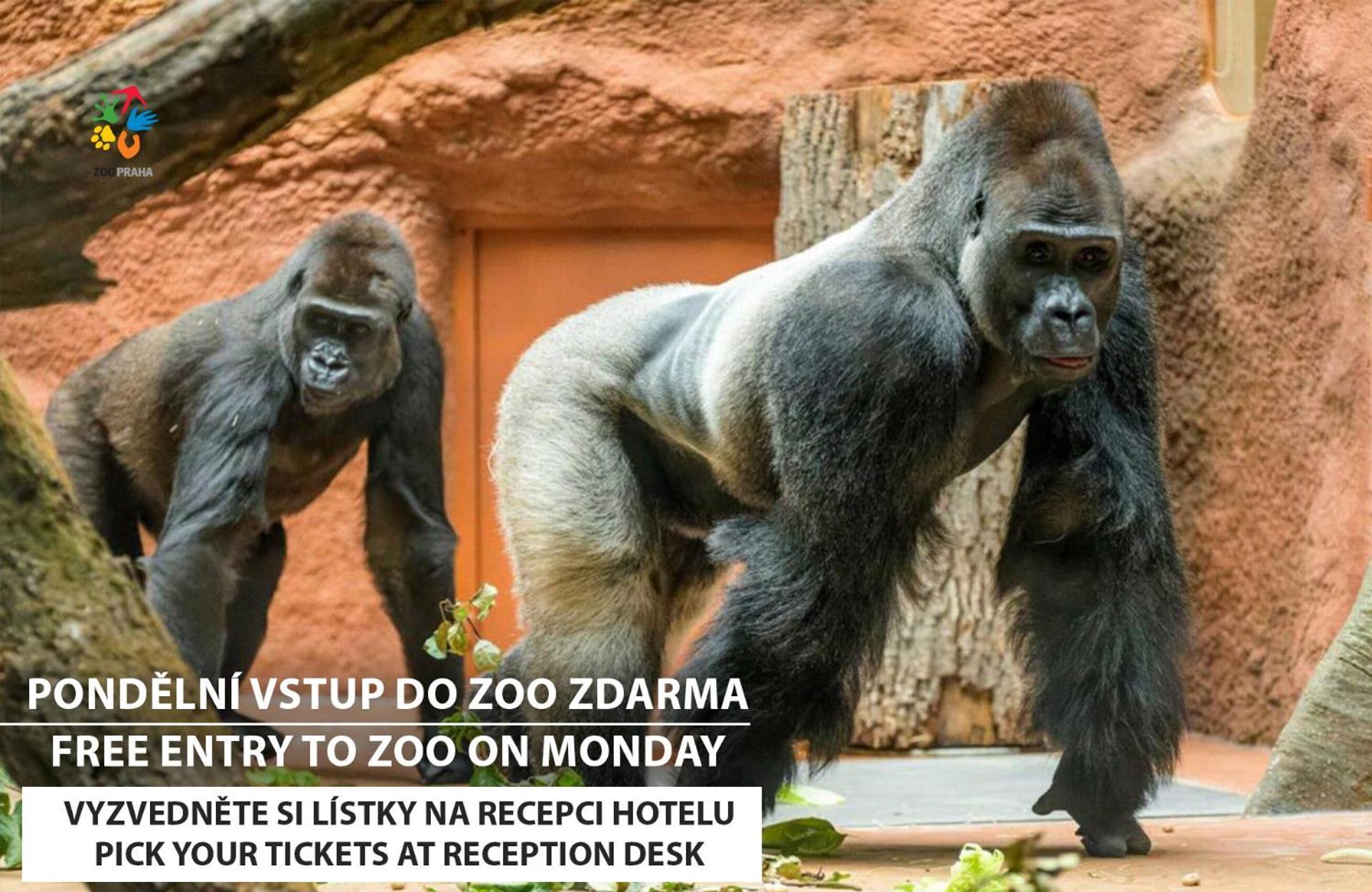 Hotel Wellness Extol - Czech Leading